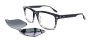 CABANA EYEWEAR CA 67797