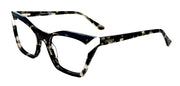 CABANA EYEWEAR CA 67640