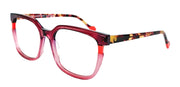 SOCA EYEWEAR SE 2014