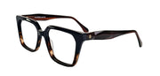 SOCA EYEWEAR SE 2137