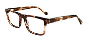 SOCA EYEWEAR SE 2163