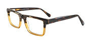 SOCA EYEWEAR SE 2163
