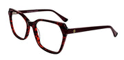 SOCA EYEWEAR SE 1826