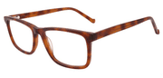 AVENCCI EYEWEAR WD 1426
